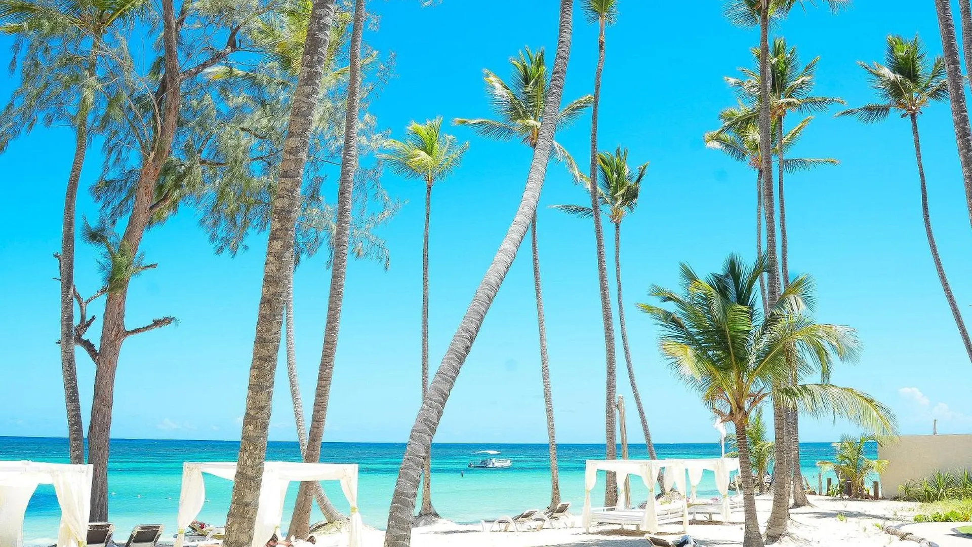 ****  Vista Sol Punta Cana Beach Resort & Spa Dominikana